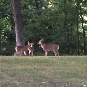 Meet your Posher, Haf